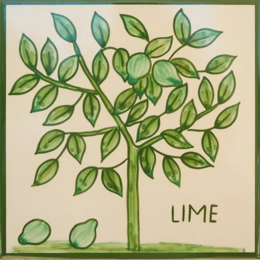 Casa Monte Cristo Apartments - Lime Lagos